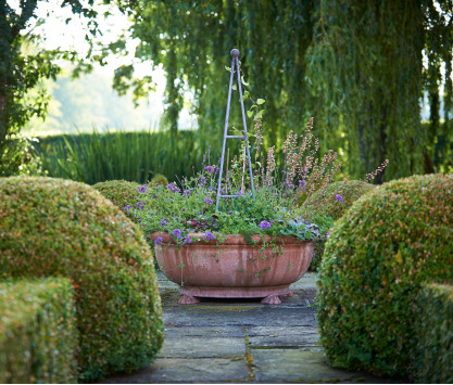 Halterung große Löwenpfote Halterung große Löwenpfote