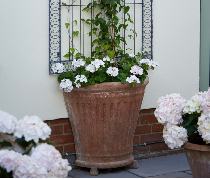 Colonna Mezza terracotta pot Colonna Mezza terracotta pot