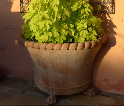 Cesta Mezza terracotta pot Cesta Mezza terracotta pot