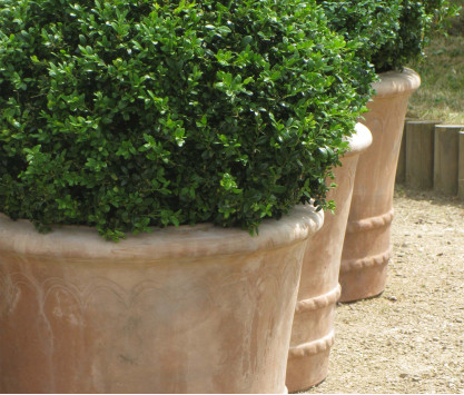 Bugnolo terracotta pot Bugnolo terracotta pot