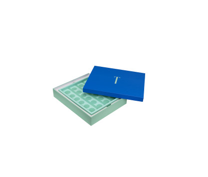 Lacquered tray small model Meadow green colour