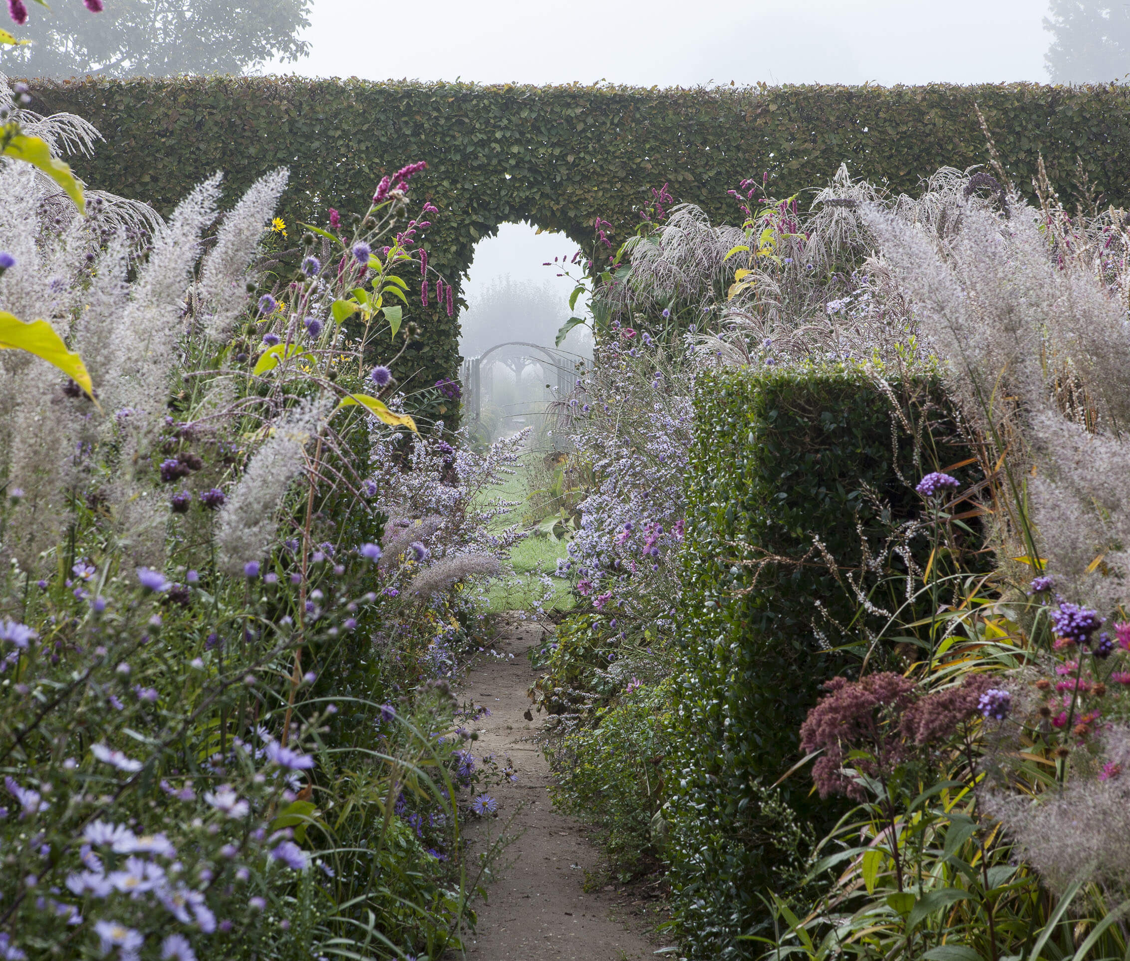The Jardin Plume