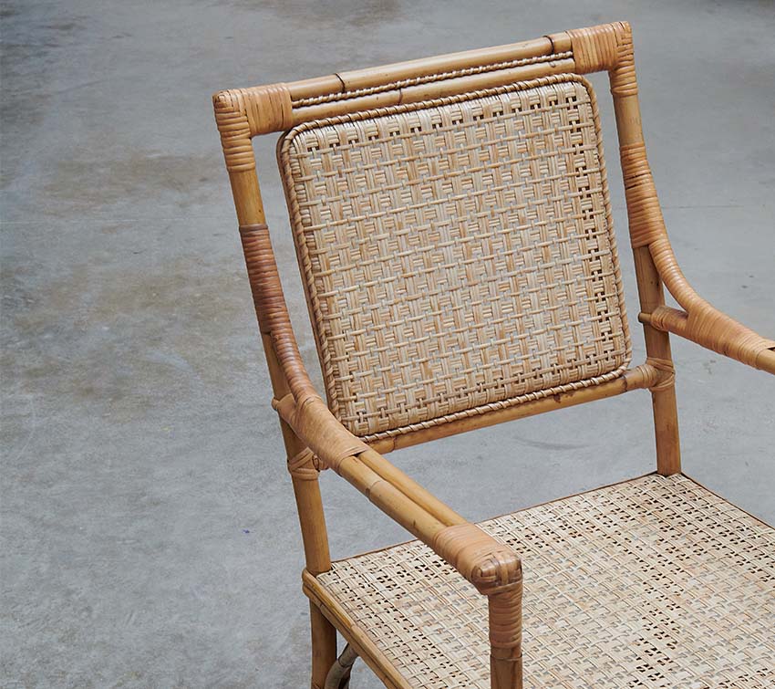 Rattan care tips
