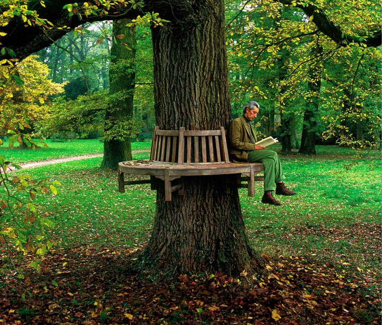 Teak semi-circular bench