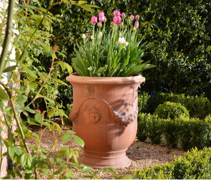 Francese Festonato terracotta pot Francese Festonato terracotta pot