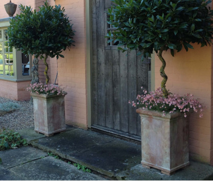 Pilone terracotta pot Pilone terracotta pot