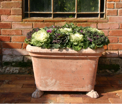 Cassetta terracotta pot Cassetta terracotta pot