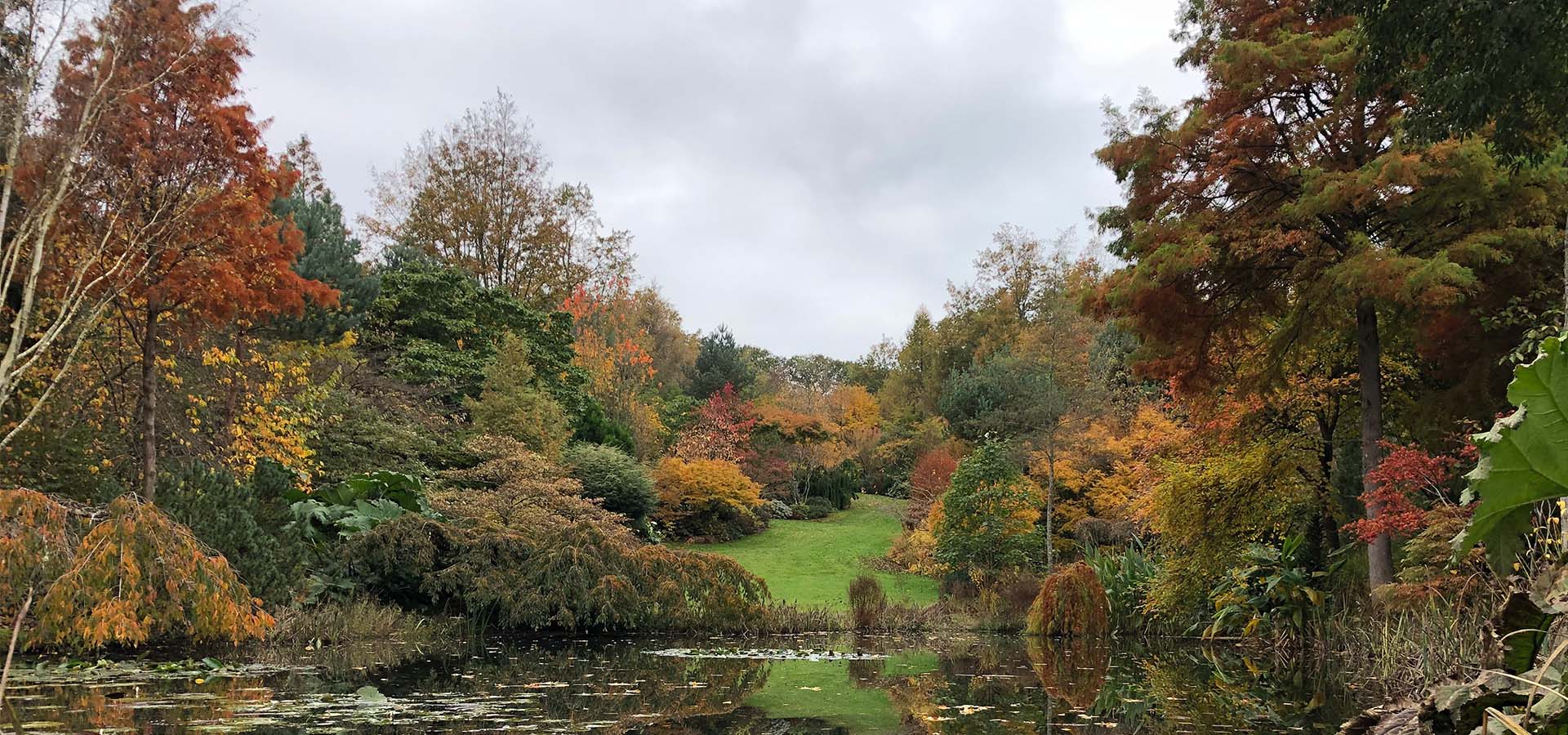 Etang de Launay