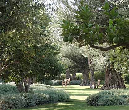 A symphony of nature : Meeting with Luis Vallejo