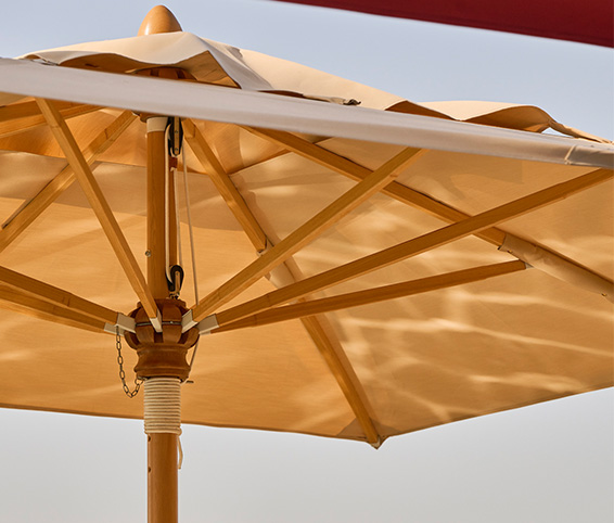 Roma parasol : Secrets of a bestseller