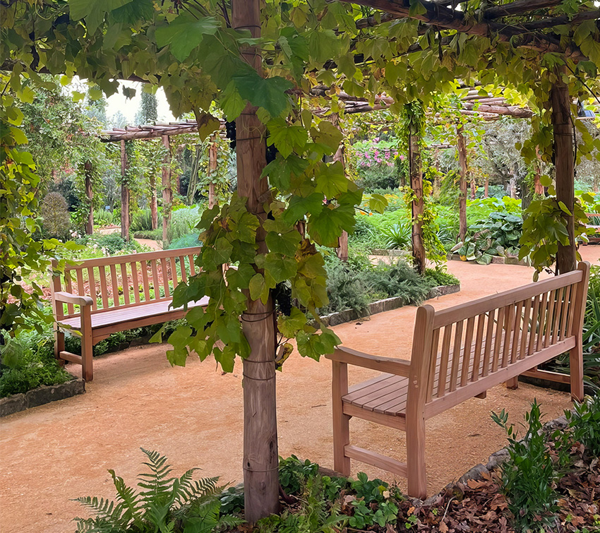 2024, Venice, the Garden of the Holy Redeemer