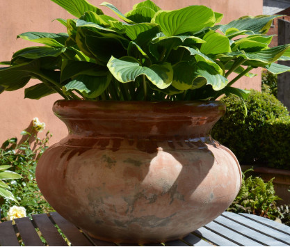 Maceta de terracota Primavera Maceta de terracota Primavera