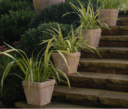 Pot en terre cuite Cestino Liscio Pot en terre cuite Cestino Liscio