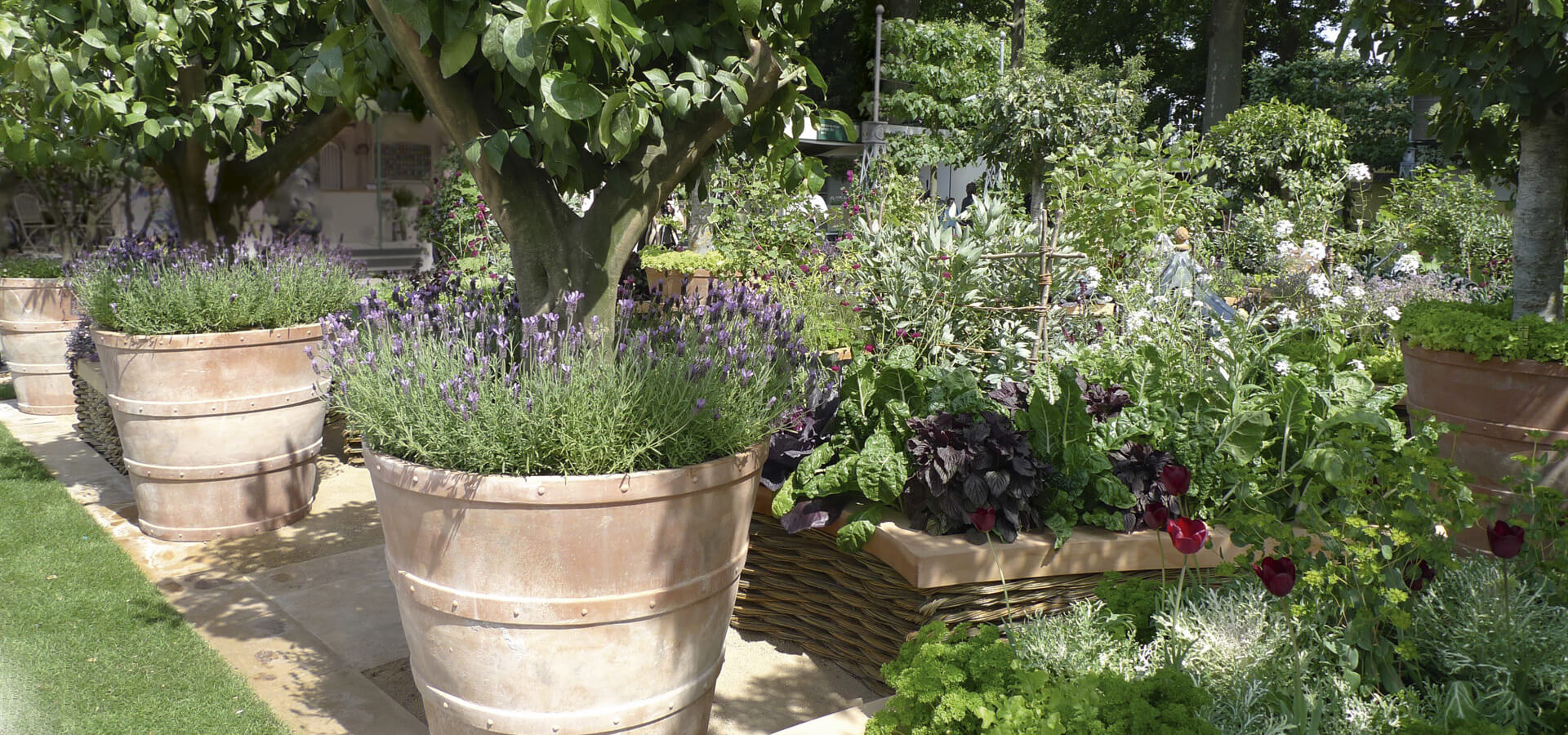 Pots en terre cuite