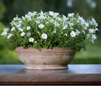 Pot en terre cuite Ciotola Pot en terre cuite Ciotola