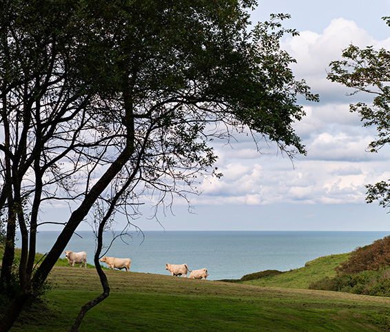 Le Bois des Moutiers 