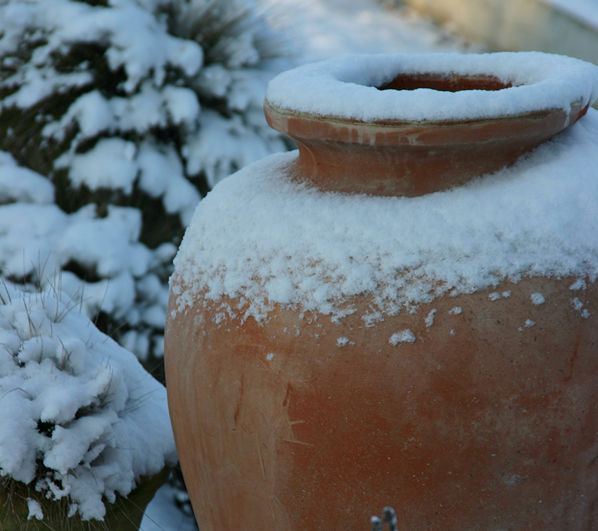 Protection hivernale