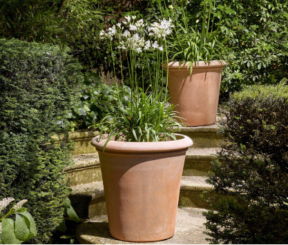 Vaso in terracotta Tinozza Vaso in terracotta Tinozza