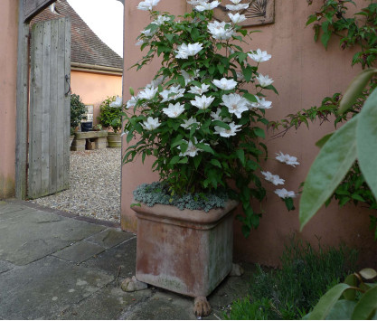 Vaso in terracotta Cubo Vaso in terracotta Cubo