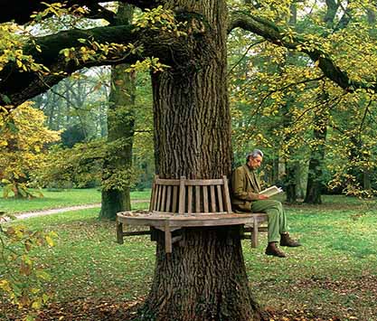 La cronologia dei nostri 45 anni